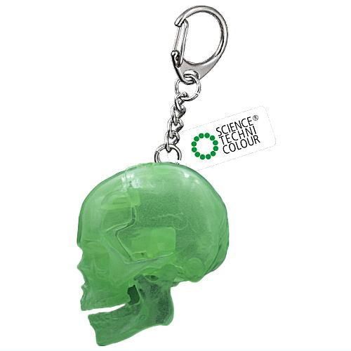 サイエンステクニカラー スケルトンズ イン スケルトンカラー [2