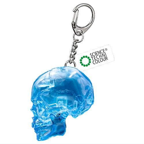 サイエンステクニカラー スケルトンズ イン スケルトンカラー [3