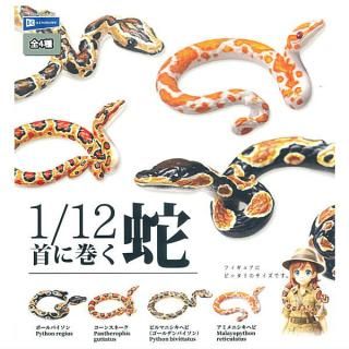 ワンピース ワールドコレクタブルフィギュア エッグヘッド4 [1.Dr