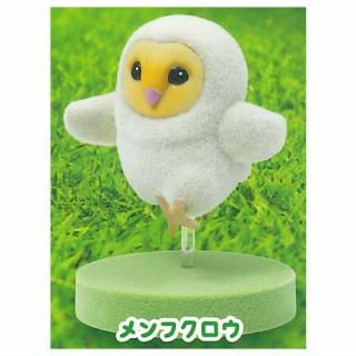 ե֤ ɥե奢 [2.ե] ͥݥԲ ۡC