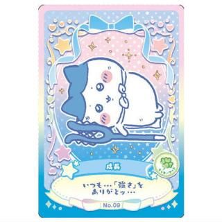 �������� �����ϡ��� ��å��������ɥ��쥯�����2 [9.��Ĺ(��å�����ɥ�����)]�ڥͥ��ݥ������б��ۡ�C��