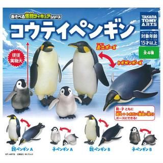 ������·�äƤޤ�!!�ۤ����٤���ʪ�ե����奢���꡼�� �����ƥ��ڥ󥮥� [��4�糧�å�(�ե륳���)]�ڥͥ��ݥ������б��ۡ�C��