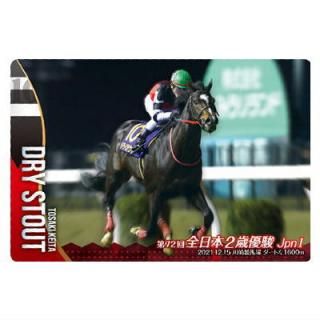 ����֥�åɥۡ������쥯����� �ĥ��󥦥��ϡ��� ��3R [12.�ɥ饤�������� ��72��������2��ͥ��(JpnI)���Ρ��ޥ륫����]�ڥͥ��ݥ������б��ۡ�C��