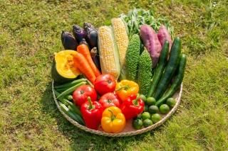 <img class='new_mark_img1' src='https://img.shop-pro.jp/img/new/icons29.gif' style='border:none;display:inline;margin:0px;padding:0px;width:auto;' />ڷءۻ͹ΤޤڥåȡʸȾ