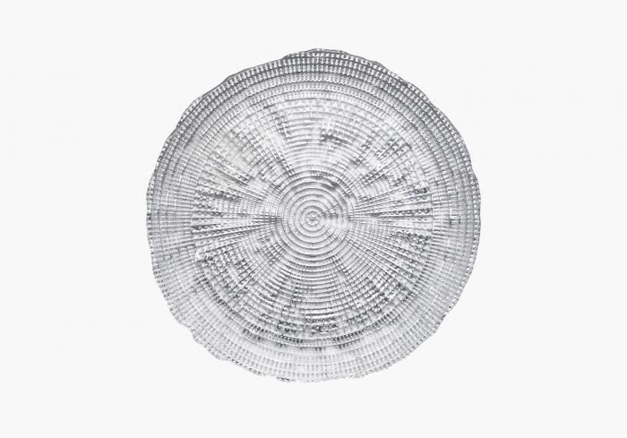 ȥ쥸㡼 21cmץ졼 С