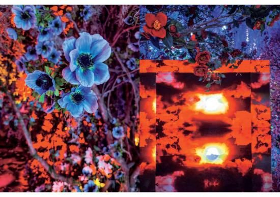 蜷川実花展 with EiM：彼岸の光、此岸の影」展 公式図録 - ART