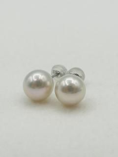 Pt900   ѡ  ¿ ԥ 8.5mm ʳظ ƥ AKOYA ̵Ĵ ʥ