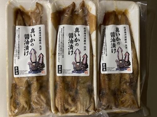 succulentshop3104 | セダム入荷しました😆 よろしくお願い