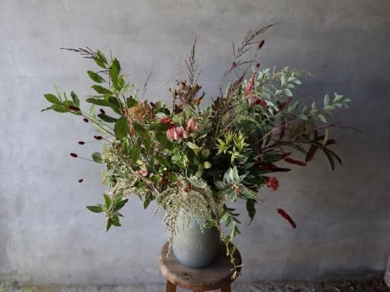 Henrydean V.Stromboli S ラナイ 【送料無料】 - 産地直送花屋「添える」