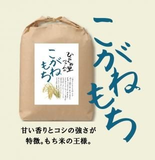  R7ǯ 11ܤ缡ȯ ͤ 2kg