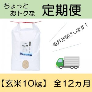 【定期便】（全12ヶ月） コシヒカリ 玄米10kg
