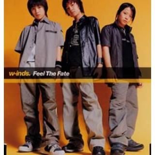 Feel the Fate [Audio CD] w-inds.; Hiroaki Hayama and BANANA ICE
