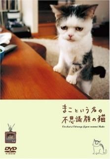 ޤȤ̾Ի׵Ĵǭ(DVD) [DVD]