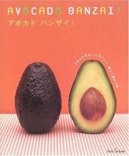 ܥɥХ󥶥!ܥɤäȤڤ̣臘 (ϥåԡ֥å) [Tankobon Hardcover]