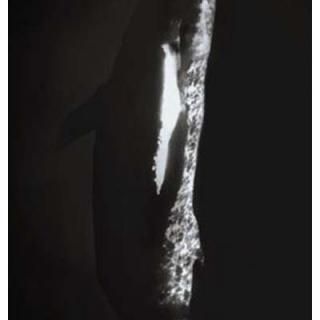 forbidden lover [Audio CD] hyde; Hajime Okano and yukihiro