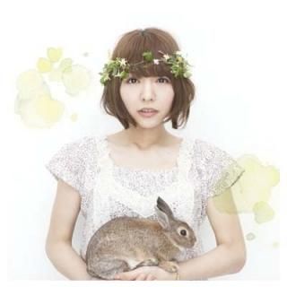  SHUN PU()(DVD) [Audio CD] ˭갦