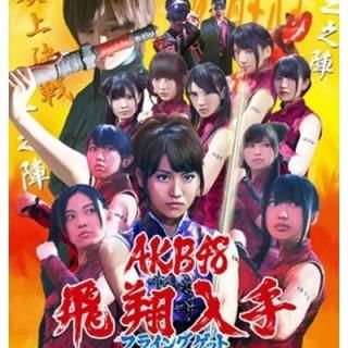 ե饤󥰥å  [Audio CD] AKB48
