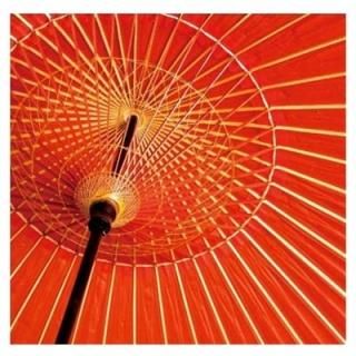  [Audio CD] ®饤; ƣǷ and ¼