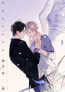 ʥ顦ꥢ (ꥢʸ) [Paperback Bunko] ī  and 