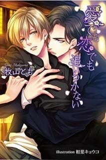 ǤǤɤĤʤ (ʸ) [Paperback Bunko] һȤ and ե祦
