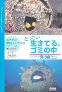 ɤäƤ롢ߤ-ޤε- (Ťդ޴աץ꡼) [Tankobon Softcover] ƣ 