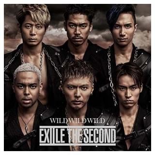 WILD WILD WILD(DVD) [Audio CD] EXILE THE SECOND