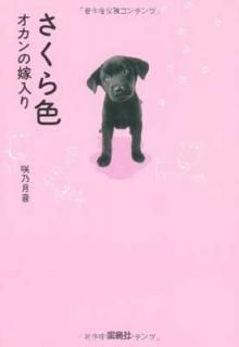 鿧 β (ʸ) [Paperback Bunko] ǵ 