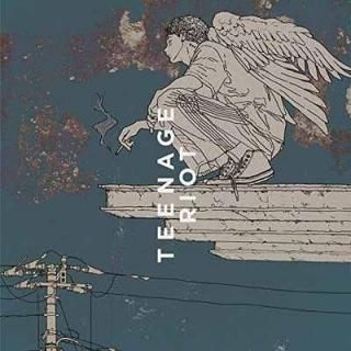Flamingo / TEENAGE RIOT(ƥ󥨥 ) [Audio CD] Ÿ