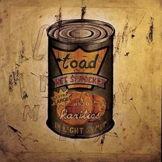 In Light Syrup [Audio CD] Toad the Wet Sprocket