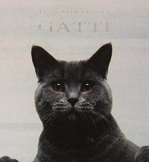 Hanno detto dei gatti [Hardcover]