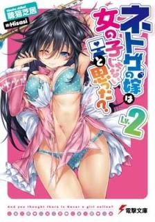 ͥȥβǤϽλҤʤȻפä? Lv.2 (ŷʸ) [Paperback Bunko] İǭ ǵ and Hisasi