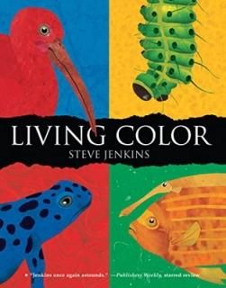 Living Color [Paperback] Jenkins  Steve