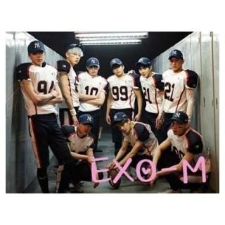 2 ѥå - Love Me Right С(ڹ) [Audio CD] EXO
