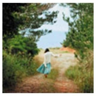 ۤξȤʤ鱫ιߤ() [Audio CD] Cocco