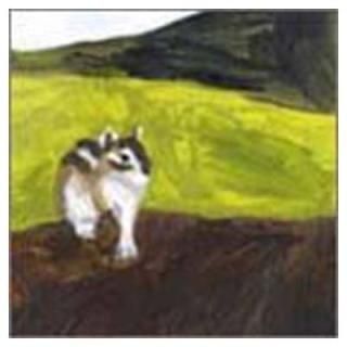 Tide [Audio CD] Polaris