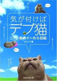դХǥǭ˥ȤΤ [Tankobon Hardcover] ӥӥå