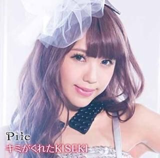 ߤ줿KISEKI ʽס [Audio CD] Pile