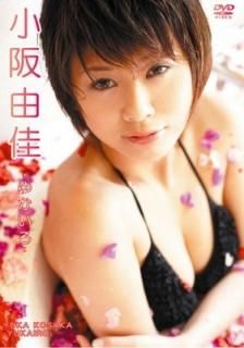ͳ 椫 [DVD] [DVD]