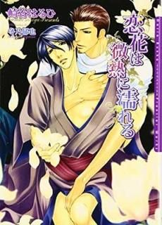 ֤ǮǨ (ꥢʸ) [Paperback Bunko] ë Ϥ and ǵ 