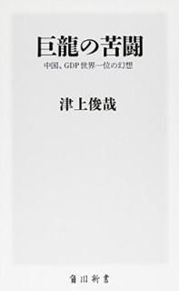 ζζƮ  GDP̤θ () [Paperback Shinsho] ž Ӻ