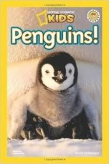 National Geographic Kids Penguins! By Anne Schreiber [Level 2 Reader] [Paperback] [Unknown Binding]
