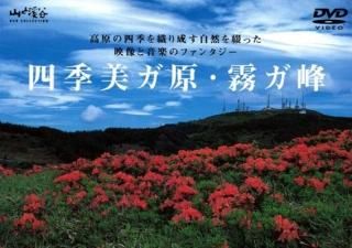 šۻ͵ ̸ [DVD] [DVD]