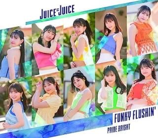 šۥץ饤ɡ֥饤/FUNKY FLUSHIN' ̾ B()(ŵʤ)