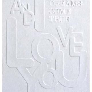 šAND I LOVE YOU(DVD)
