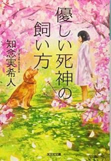 šͥλ (ʸʸ  5-1)