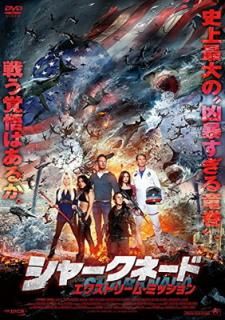 šۥ㡼͡ ȥ꡼ࡦߥå [DVD]