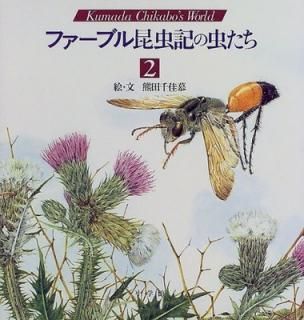 šۥե֥뺫 (2) (KumadaChikabos World)