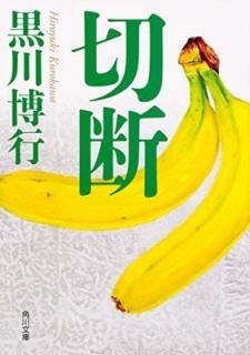 š (ʸ)