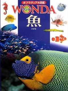 š۵ (ݥץǥ޴WONDA (6))