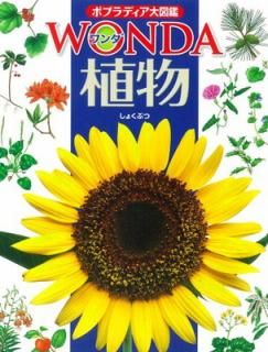 šۿʪ (ݥץǥ޴WONDA)